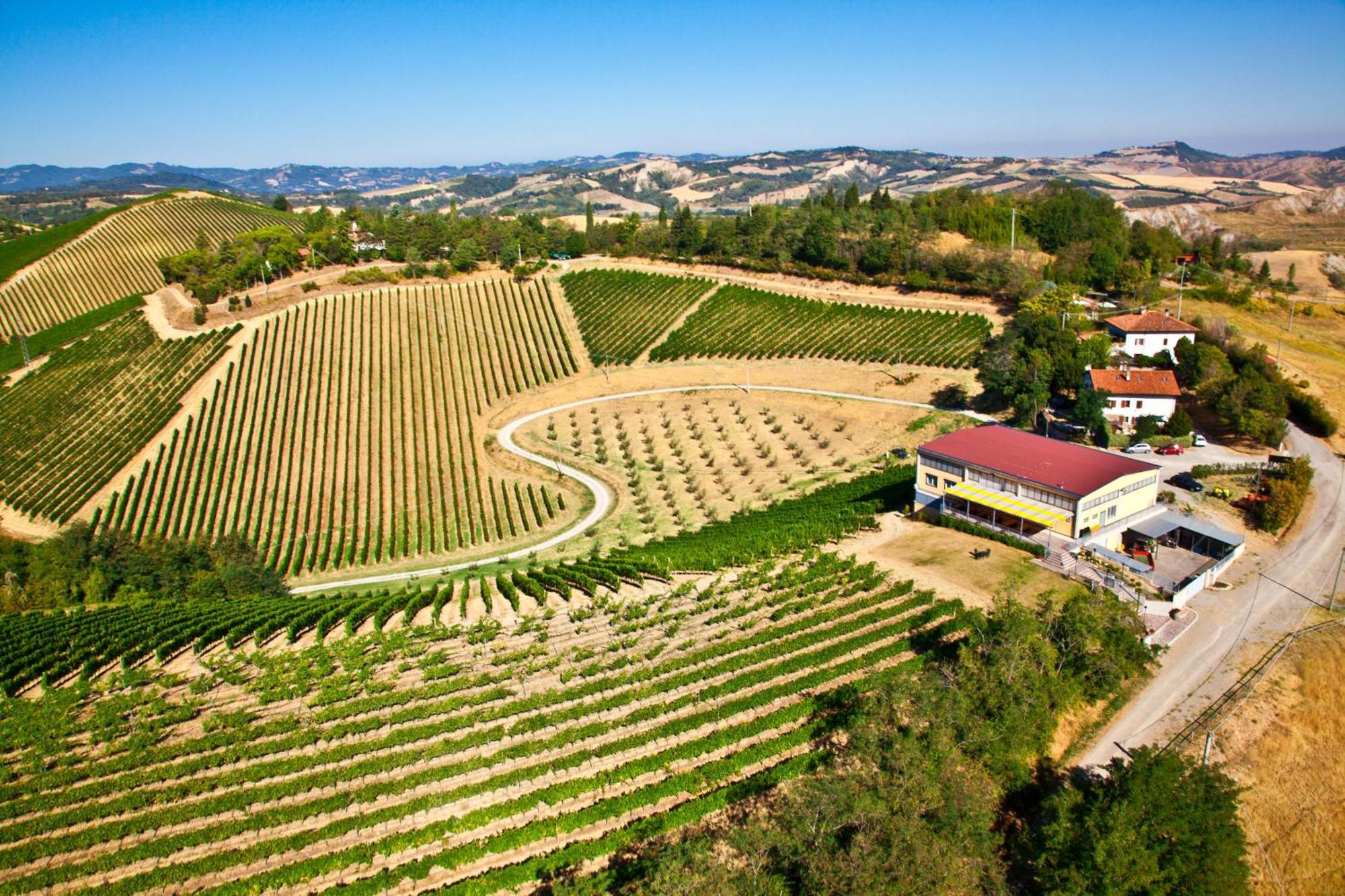 Podere Riosto Cantina&Agriturismo Pianoro Exterior photo